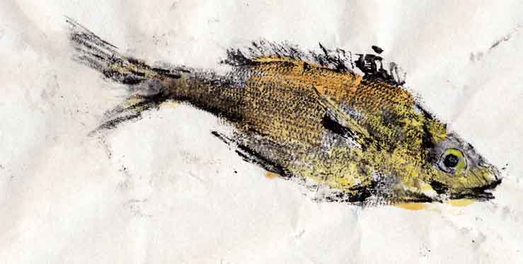 Gyotaku poisson de Méditérranée 2011