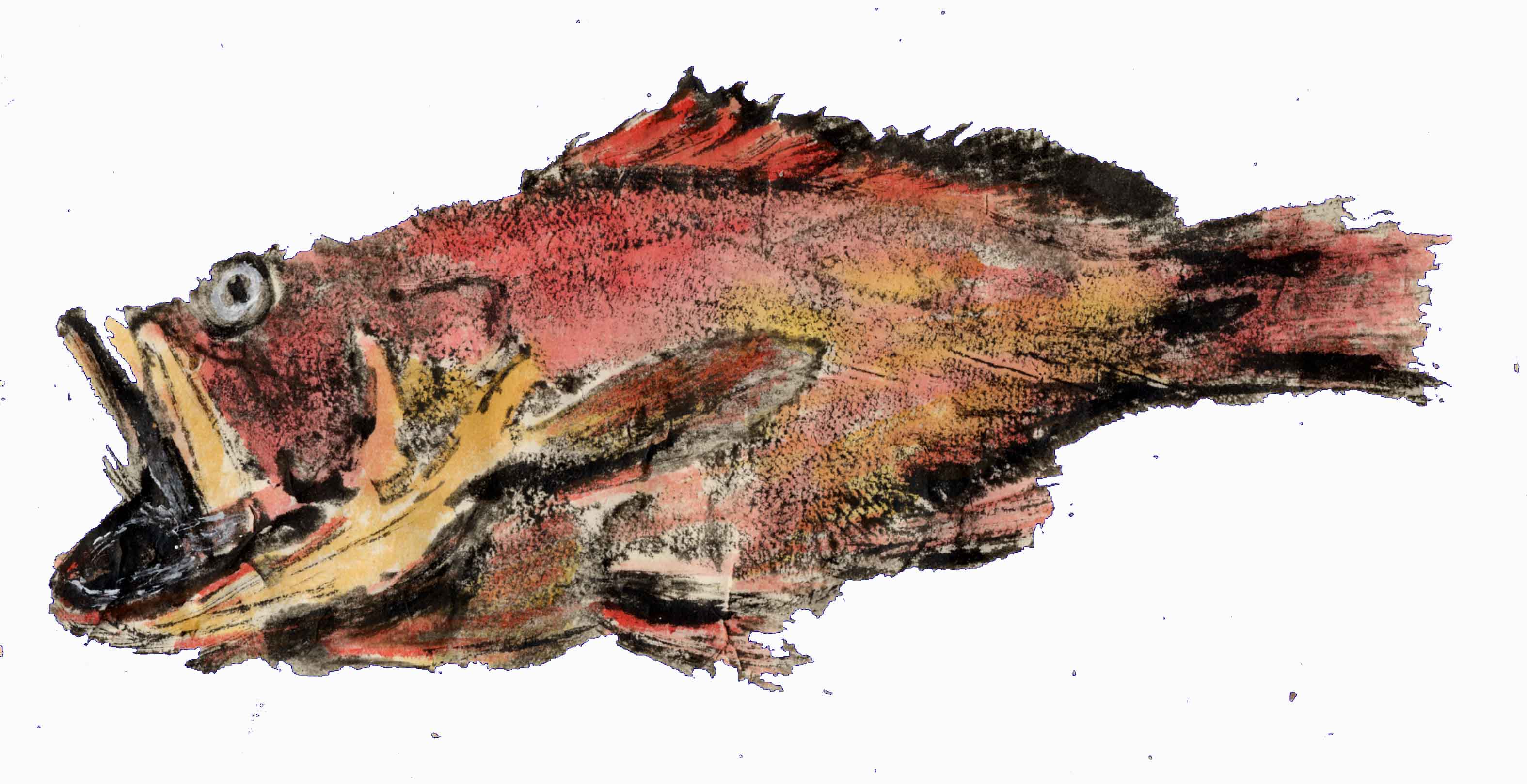 Gyotaku poisson rouge du Congo aquarellé 2005