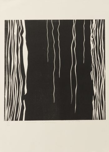 53×39 cm / gravure sur bois