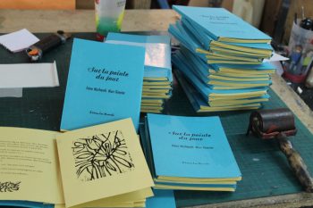 Sur la pointe du jour / prix : 40 € ( épuisé )