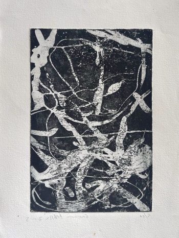 30x15cm / eau forte