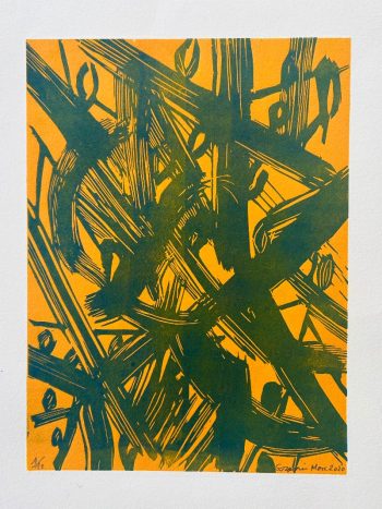 30x20cm / gravures sur bois deux passages