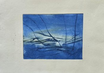 20x30cm / gravure sur cuivre